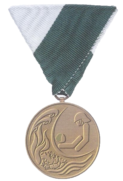 Steirische Katastrophenhilfe-Medaille