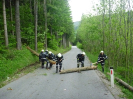 Baumbergung 16.5.2010