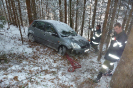 p1020639unkenntlichsmall_20120208_1536567887
