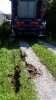 LKW Bergung 8.8.2018