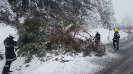 Schneeeinsätze 9.12.2020