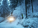 Schneeeinsätze 9.12.2020