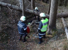 2015-11-28-ff-bung-menschenrettung-06s_20151128_1789196923
