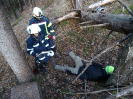 2015-11-28-ff-bung-menschenrettung-11s_20151128_1524040131
