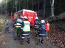 2015-11-28-ff-bung-menschenrettung-21s_20151128_1751164160