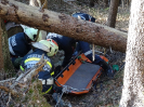 2015-11-28-ff-bung-menschenrettung-22s_20151128_1331613405