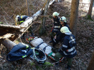 2015-11-28-ff-bung-menschenrettung-27s_20151128_1102755125