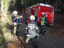 2015-11-28-ff-bung-menschenrettung-34s_20151128_1549695200