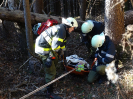 2015-11-28-ff-bung-menschenrettung-40s_20151128_1152377607