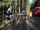 2015-11-28-ff-bung-menschenrettung-44s_20151128_1787825600