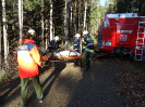 2015-11-28-ff-bung-menschenrettung-45s_20151128_1096404184