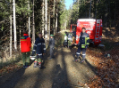2015-11-28-ff-bung-menschenrettung-50s_20151128_1607956913