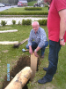bild0042s_20120501_2086376701
