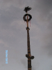 bild0086s_20120501_1097233941