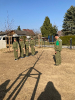 Wissenstest 27.3.2022