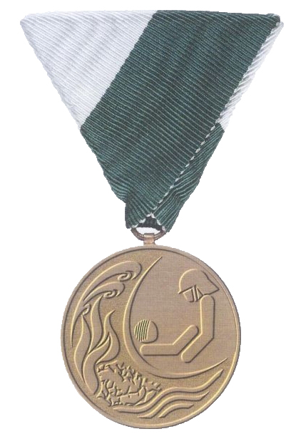 Steirische Katastrophenhilfe-Medaille