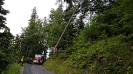 Gefahr durch Baum 30.5.2019