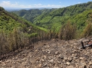 Waldbrand