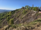 Waldbrand
