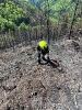 Waldbrand