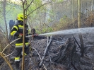 Waldbrand Eisbach-Rein