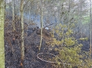 Waldbrand Eisbach-Rein